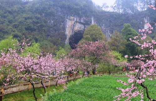再读 桃花源记 ,小时候以为很美好,现在才知道真相有多恐怖