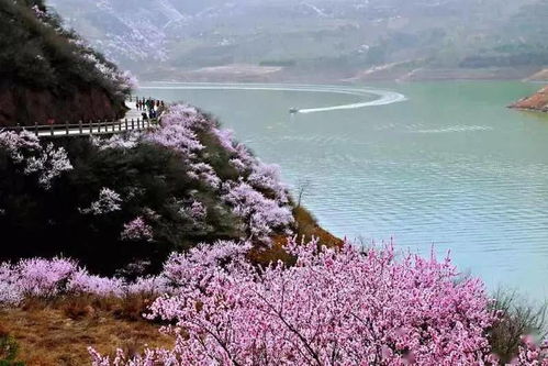 谭嗣同眼中的 桃花源 ,就在平凉这里