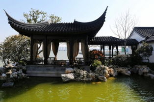 行走苏州,探访现代江南园林典范 绿城桃花源