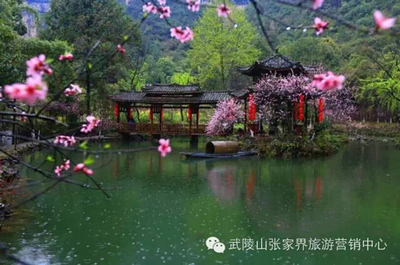 探秘武陵 酉阳桃花源与巴尔盖国家级森林公园旅游路线全攻略