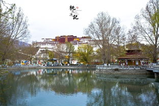 桃花源记 追寻永恒的世外桃源