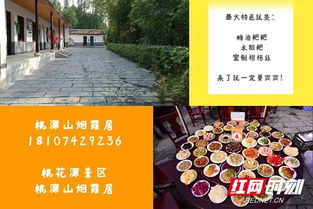 常德桃花源首届擂王诞生 首批擂茶示范门店亮相