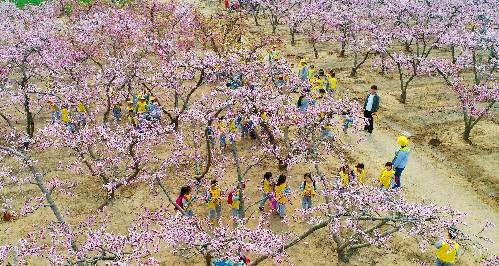 河南不起眼小镇藏万亩桃花源，偶遇萌娃共绘最美春游图