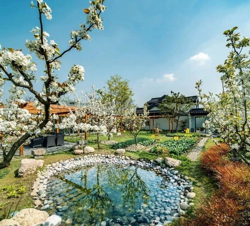 把桃花源装进手机，是种怎样的体验