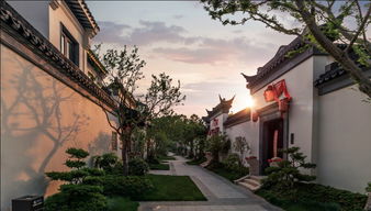 江宁现象级中式豪宅升级，桃花源产品四大定制内容曝光