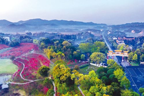 桃花源赏花，不负春光不负卿