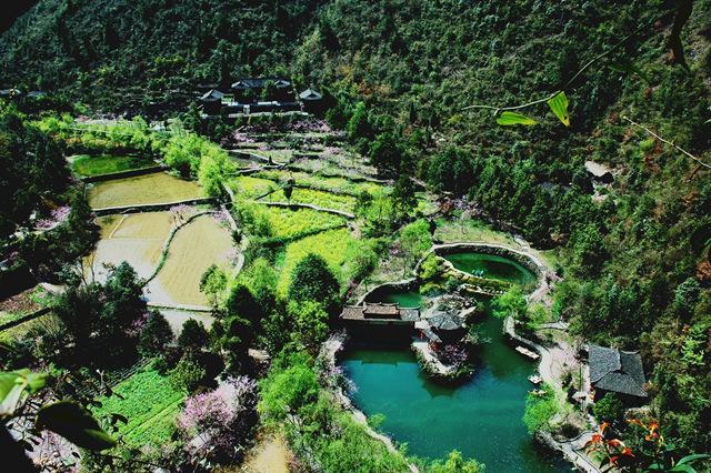 重庆酉阳桃花源走进湖南高校，万元大奖等您来拿！