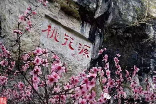 与世隔绝的美景，你向往吗？酉阳桃花源寻幽