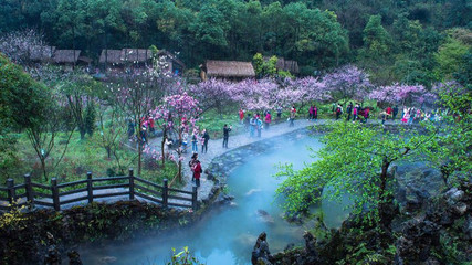 酉阳寻梦 探秘桃源、龚滩与百里画廊的诗意旅程