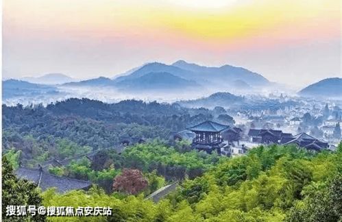 长兴绿城·桃花源 售楼处电话、地址及最新房源详情速览