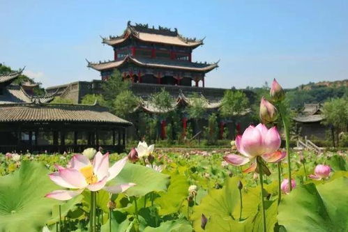 夏日探幽，醉美渭南桃花源