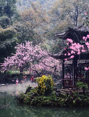 探秘重庆武陵山腹地 鲜为人知的现代桃花源